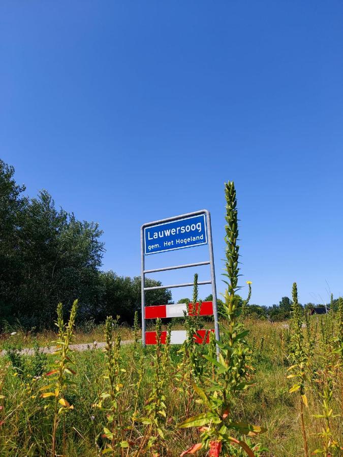 Luxe Chalet Lauwersoog Zewnętrze zdjęcie